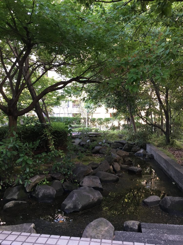 桜川屋上公園の池